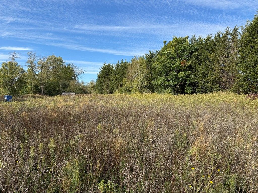 Property photo 2 of 12 View Of Land From West Boundary