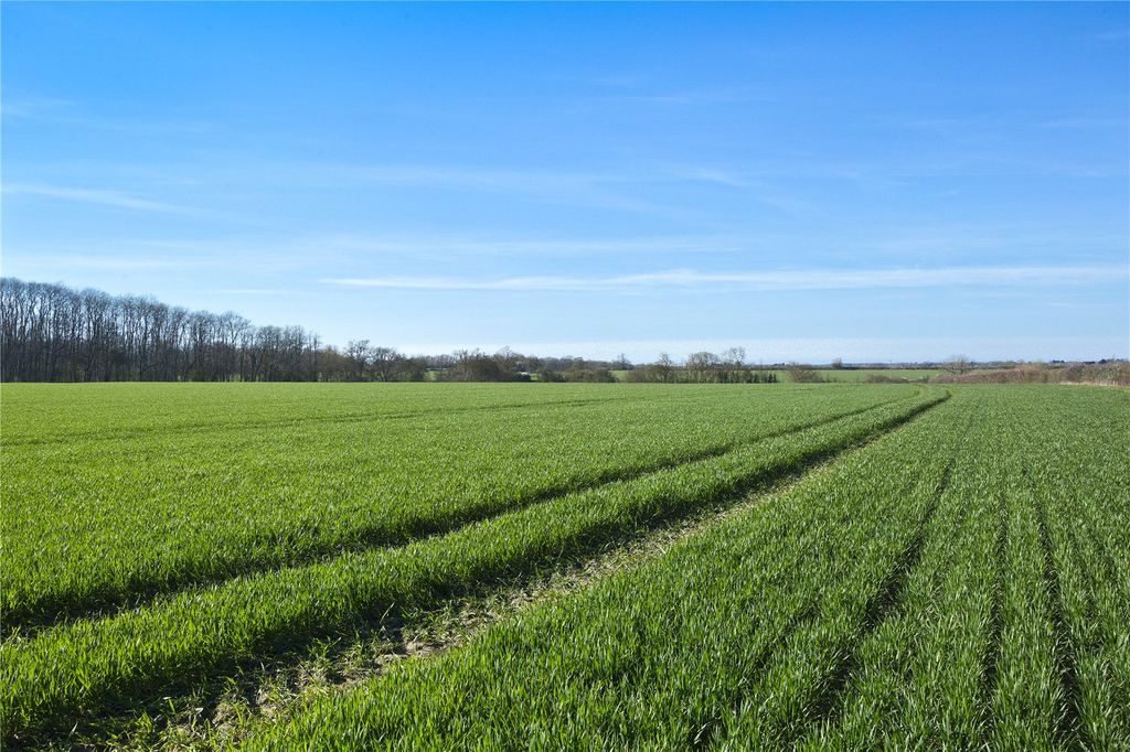 Property photo 3 of 10 Picture No. 12