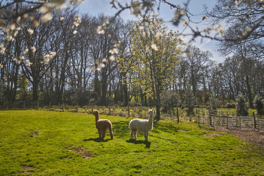 Property photo 2 of 22 Land