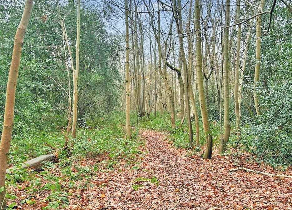 Property photo 2 of 2