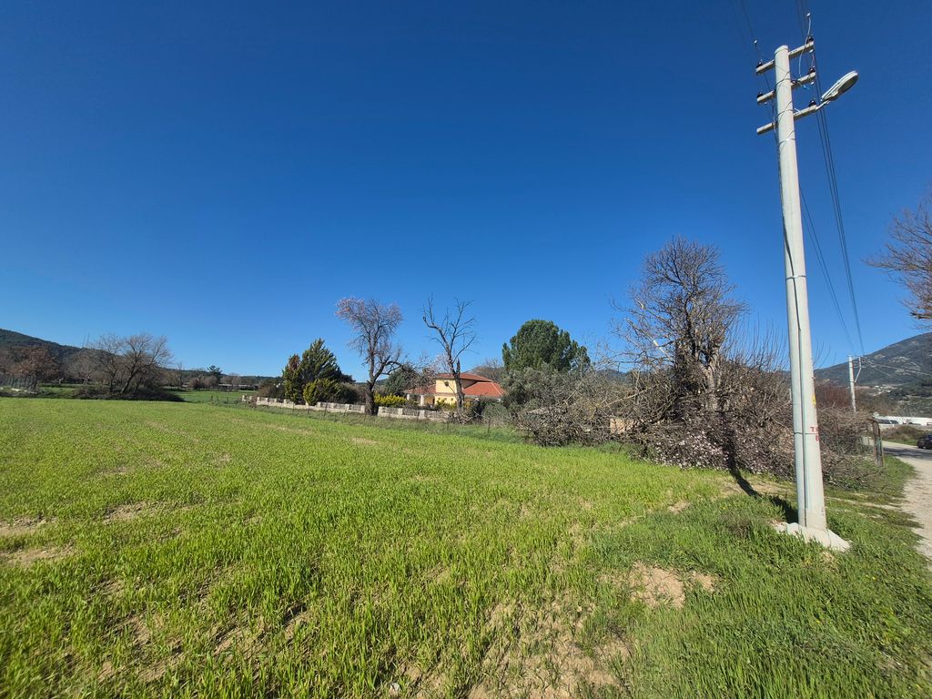 Property photo 2 of 43