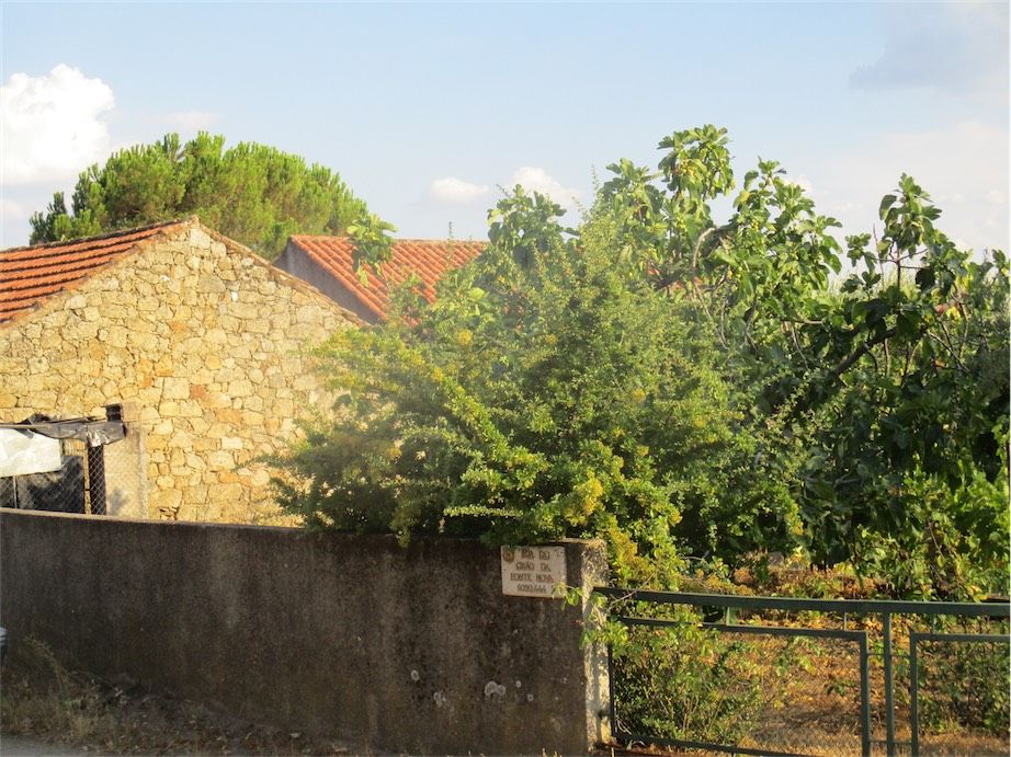 Property photo 2 of 46