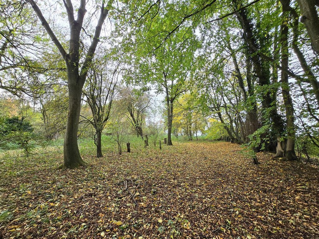 Property photo 2 of 31 20251028_120822.Jpg