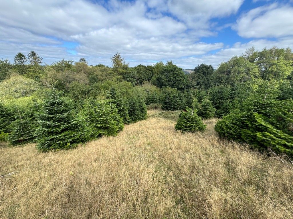 Property photo 1 of 9 General View Of The Plantation 1