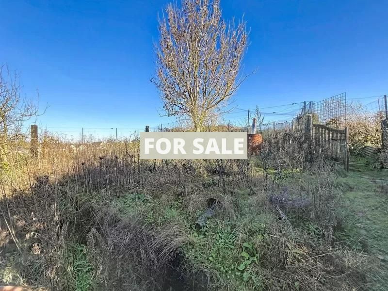 Property photo 3 of 13