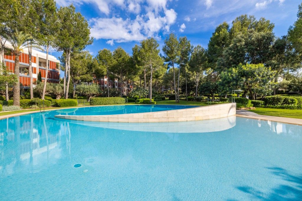 Property photo 1 of 20 Pool (2)