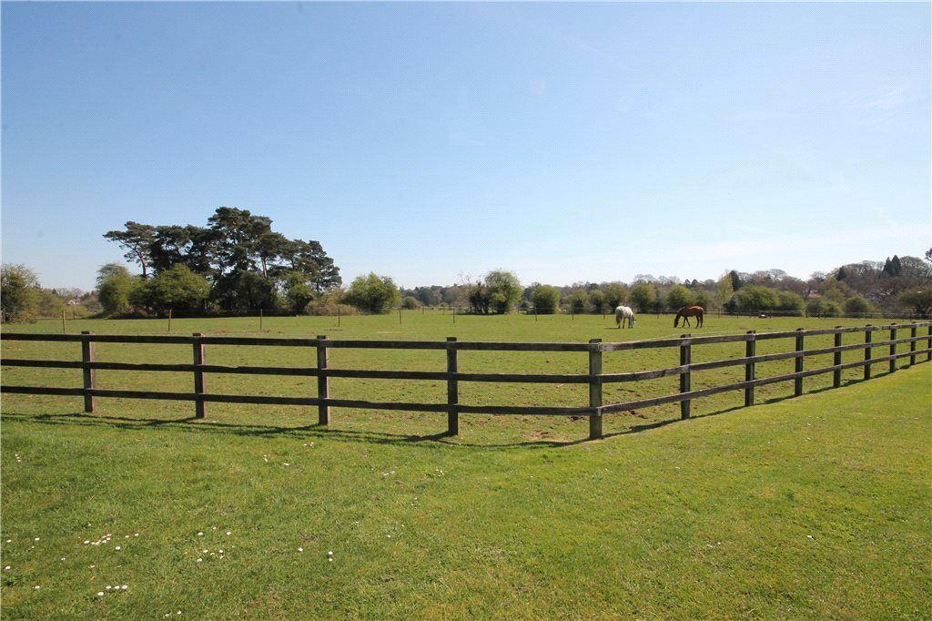 Property photo 2 of 13 Paddock