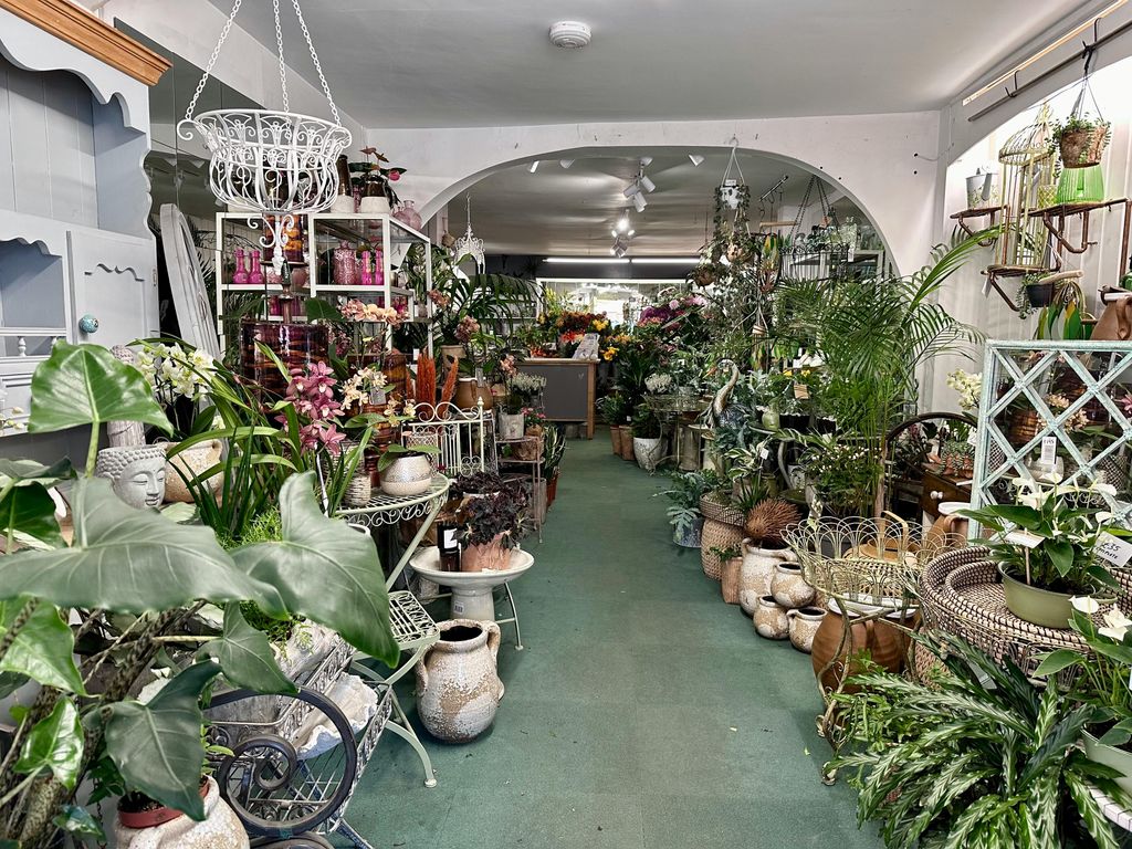 Property photo 2 of 6 Img_1566.Jpeg