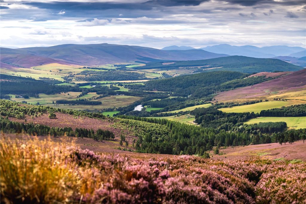 Property photo 1 of 27 Tulchan Estate