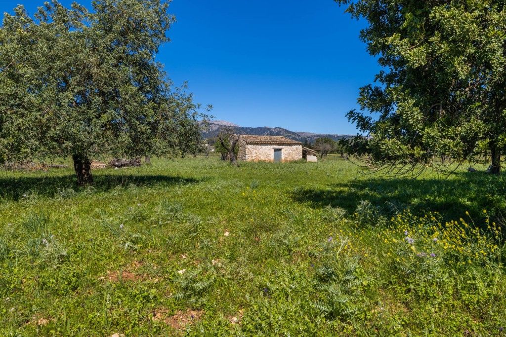 Property photo 3 of 16 Plot (4)