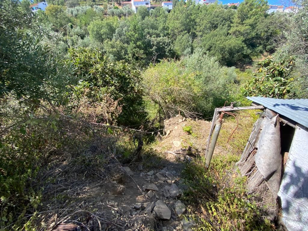 Property photo 3 of 12