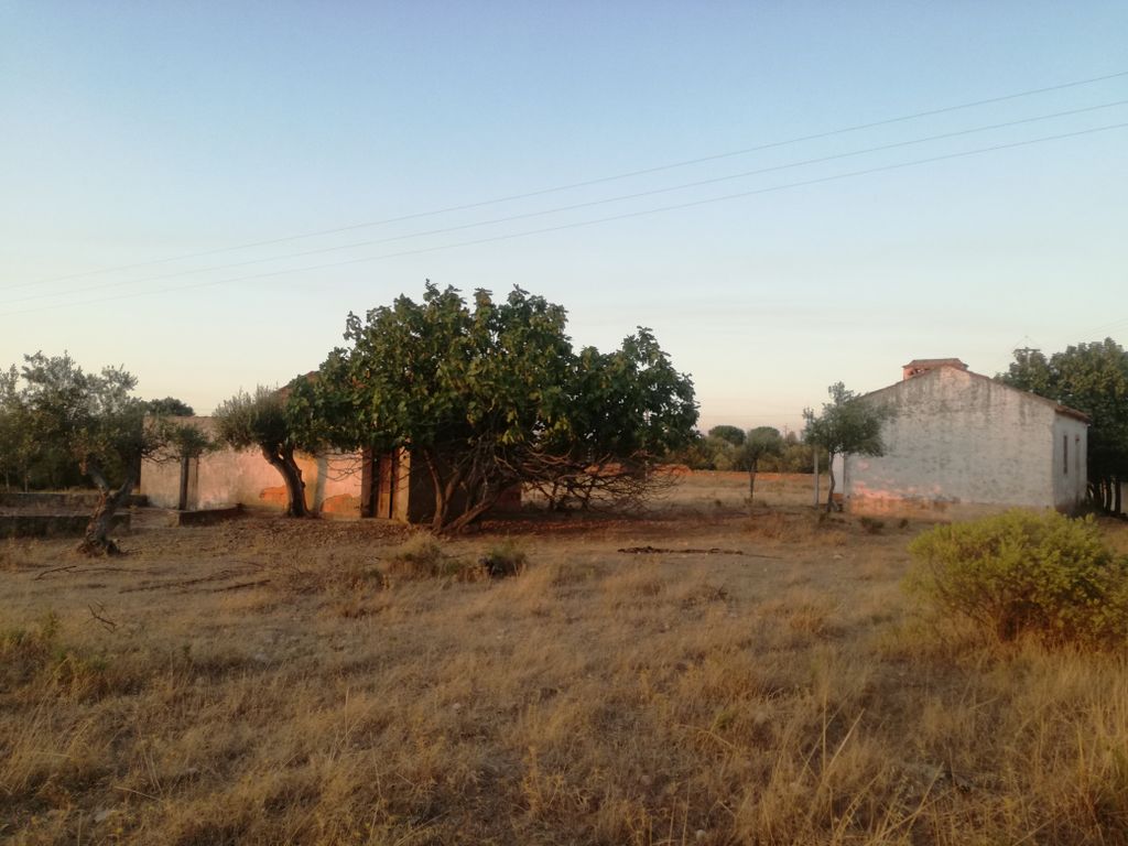 Property photo 3 of 6