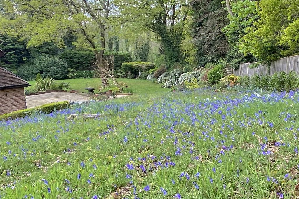 Property photo 3 of 41 Sycamore40.Jpg