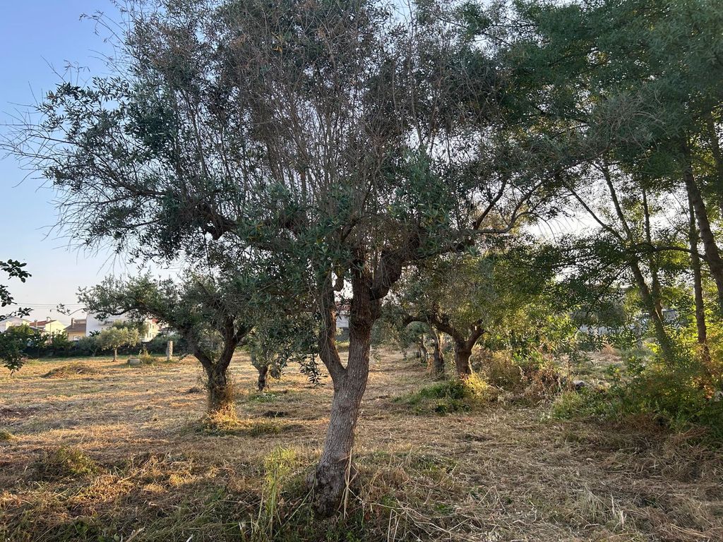 Property photo 2 of 3