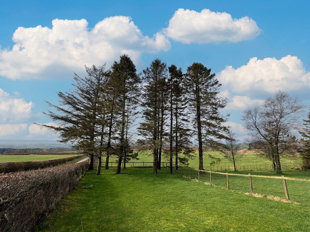 Additional image 31 of 3 bed semi-detached bungalow to rentTop Cottage South, Balgray, Lockerbie DG11