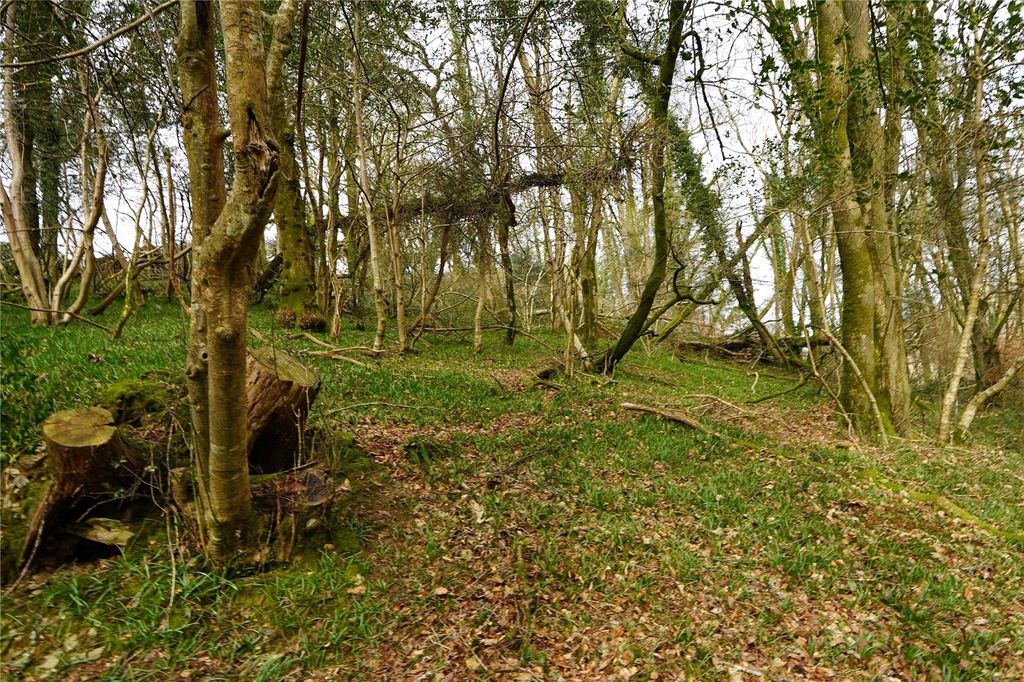 Property photo 2 of 4 Picture No. 02