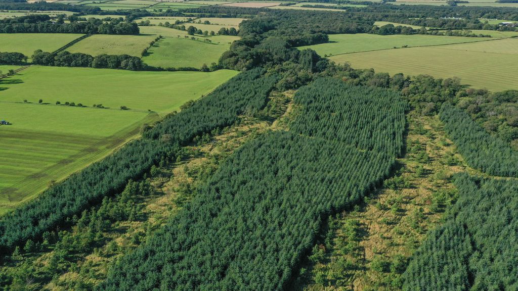 Additional image 4 of Land for saleWestward, Wigton 8Nq, Wigton CA7