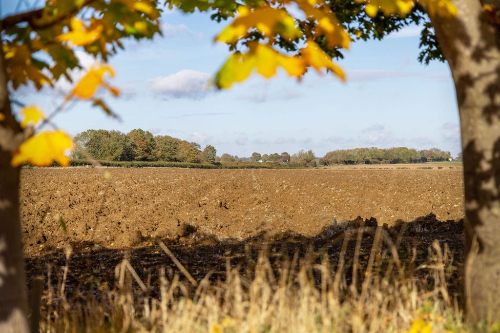 Property photo 2 of 29