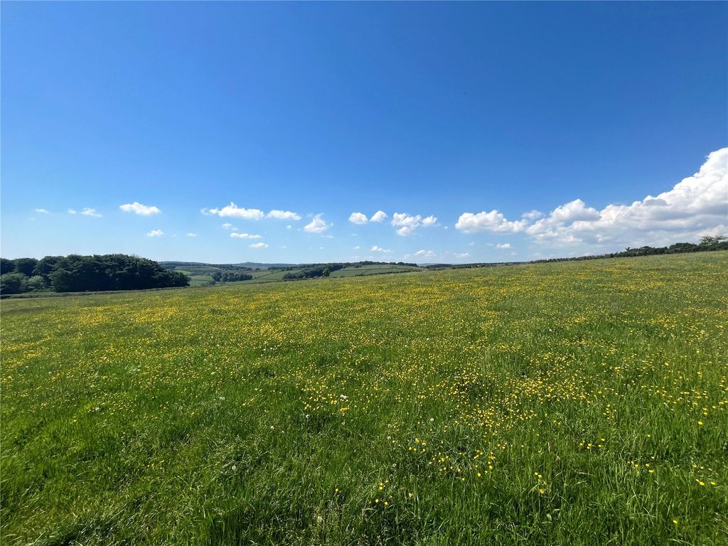 Additional image 5 of Land for saleLower Blackaton, Widecombe In The Moor, Newton Abbot, Devon TQ13