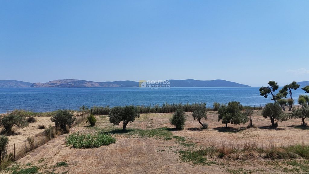 Property photo 1 of 31 (For Sale) Seafront 6,240 Sq.m. Plot In Thermisia, Ermionida, With Approved Building Permits