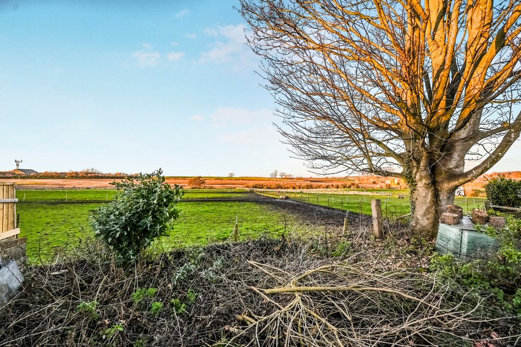 Property photo 3 of 18 Pbox-Img.Jpg