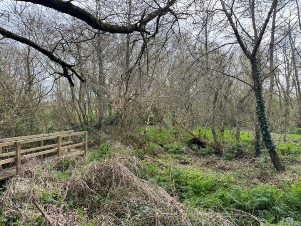 Property photo 2 of 6 Mature Shrubs And Trees
