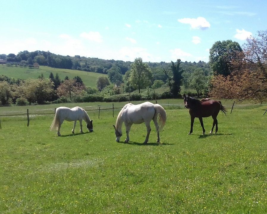 Property photo 3 of 22