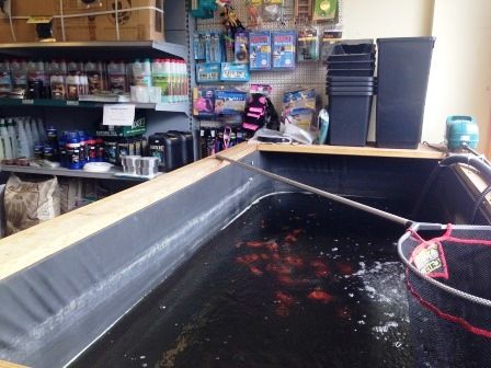 Property photo 2 of 4