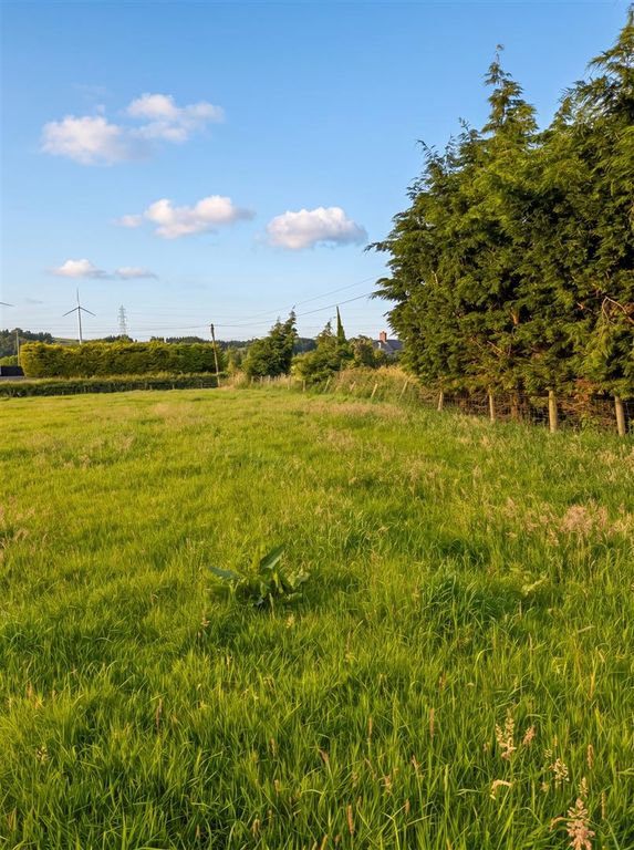 Additional image 6 of Land for saleAdjacent To 32 Lisdoonan Road, Saintfield BT24
