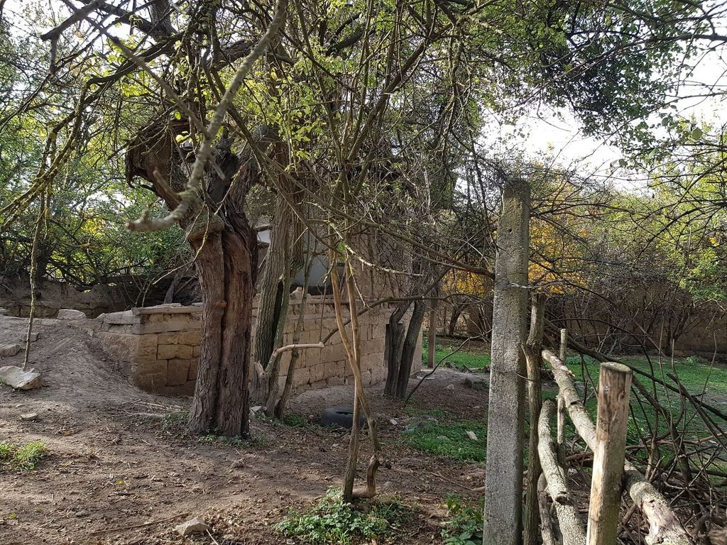 Property photo 3 of 10 A Partially Collapsed Stone Structure Visible Behind Trees And A Wooden Fence