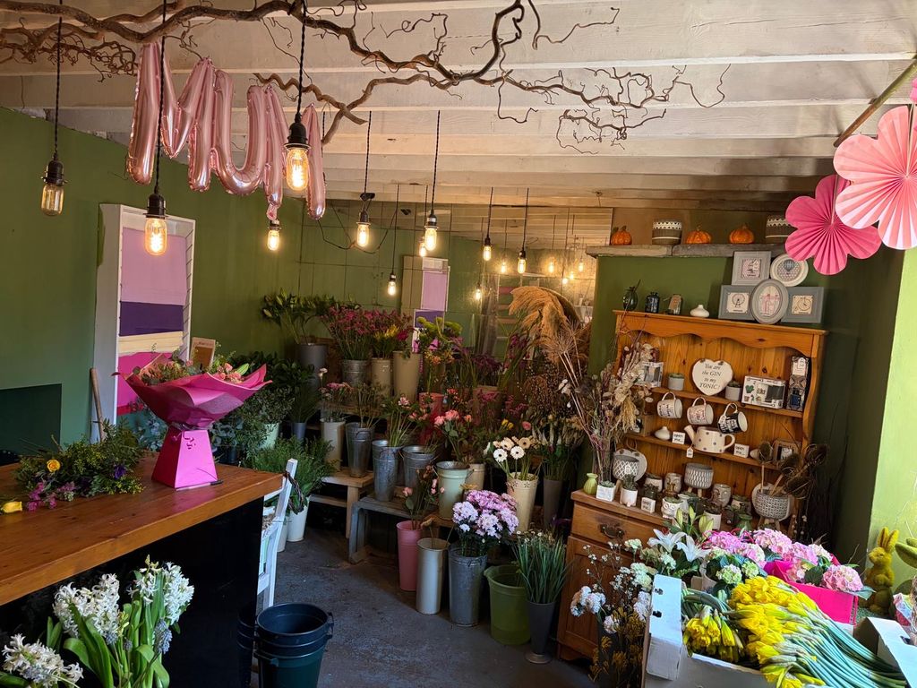 Property photo 3 of 11