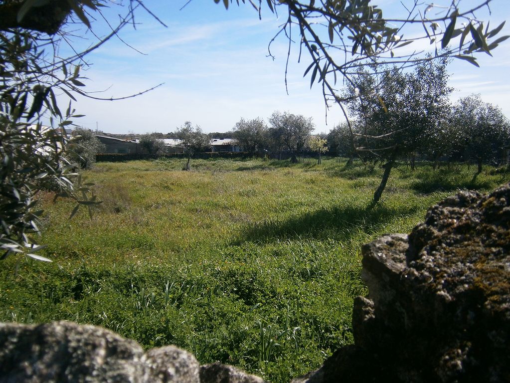 Property photo 1 of 5