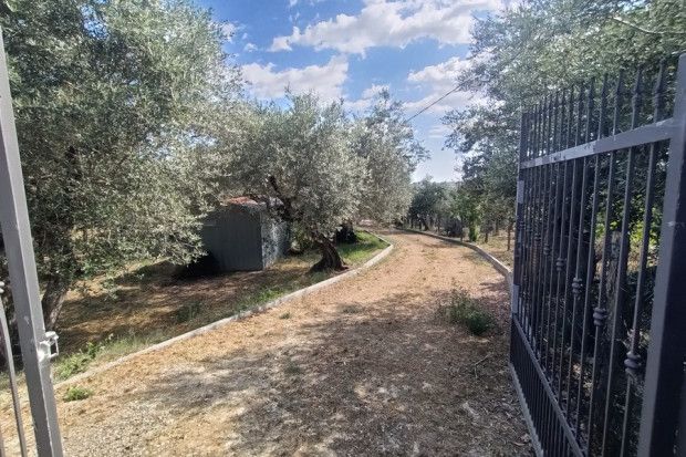 Property photo 2 of 20