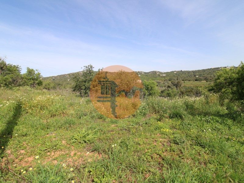 Property photo 3 of 71