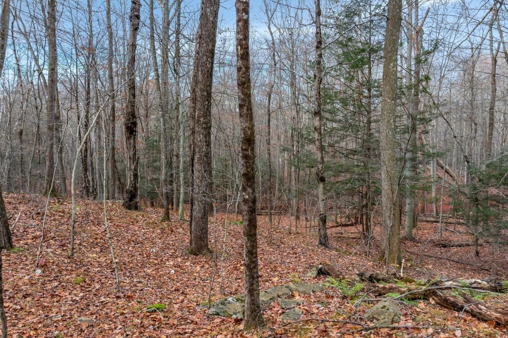 Property photo 2 of 16 <Alttext/>