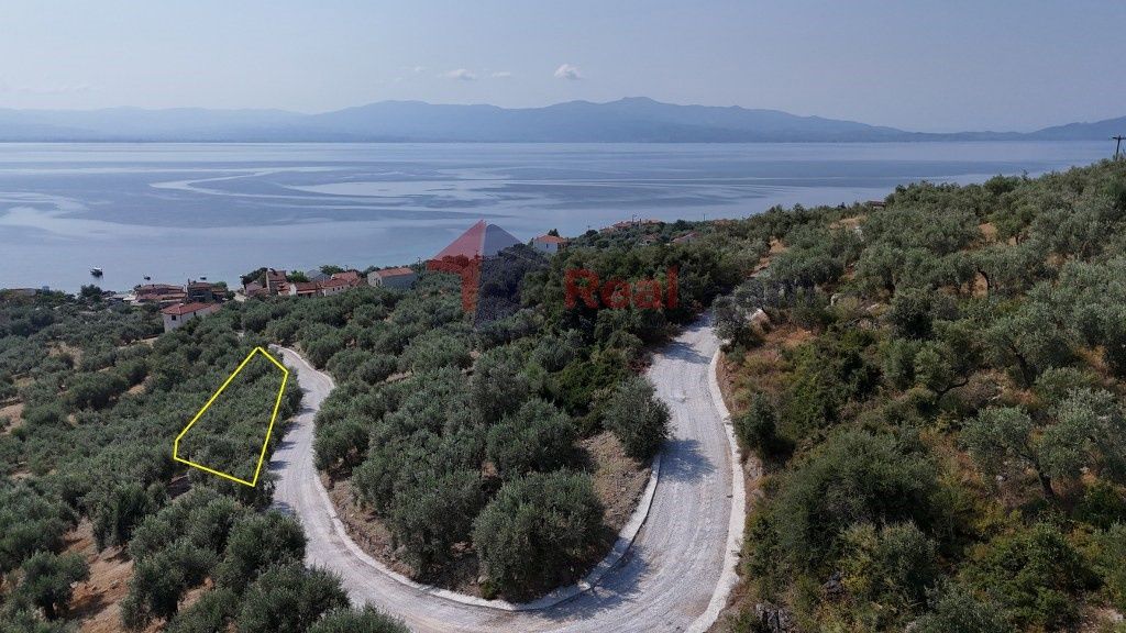 Property photo 3 of 25