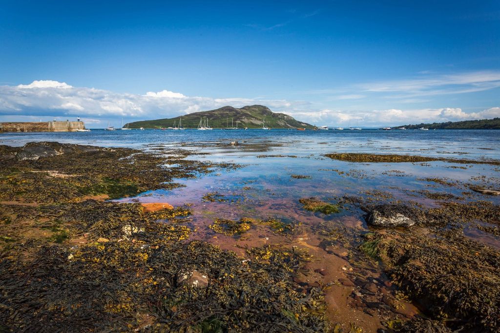 Additional image 27 of Studio for sale1 Prospect Hill Cottages, Clauchlands, Lamlash, Isle Of Arran, North Ayrshire KA27