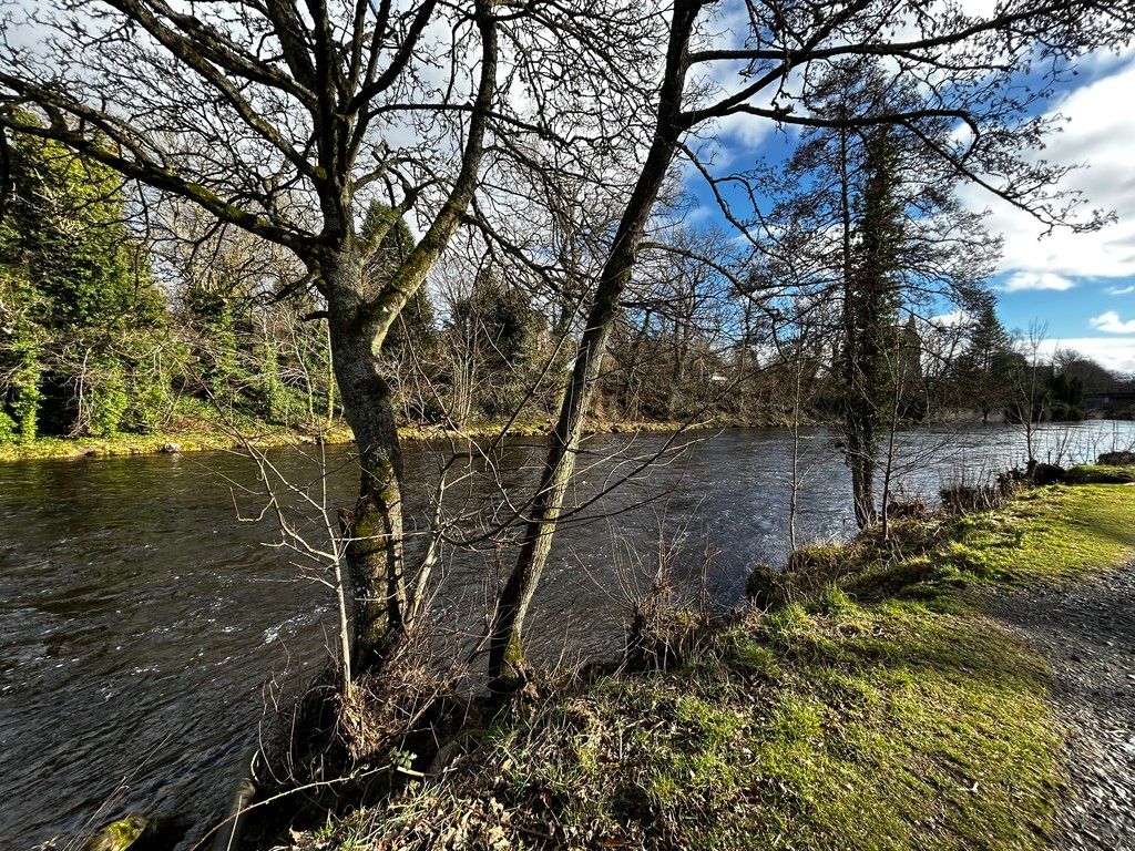 Property photo 3 of 20 River