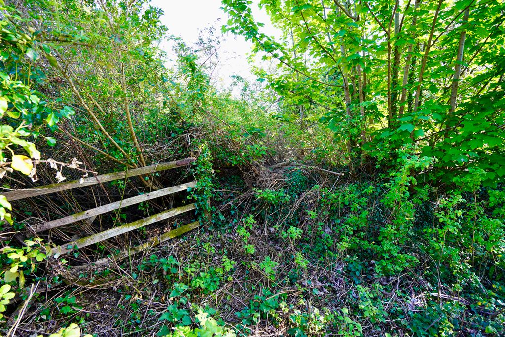 Property photo 3 of 5 Tir Denio Land