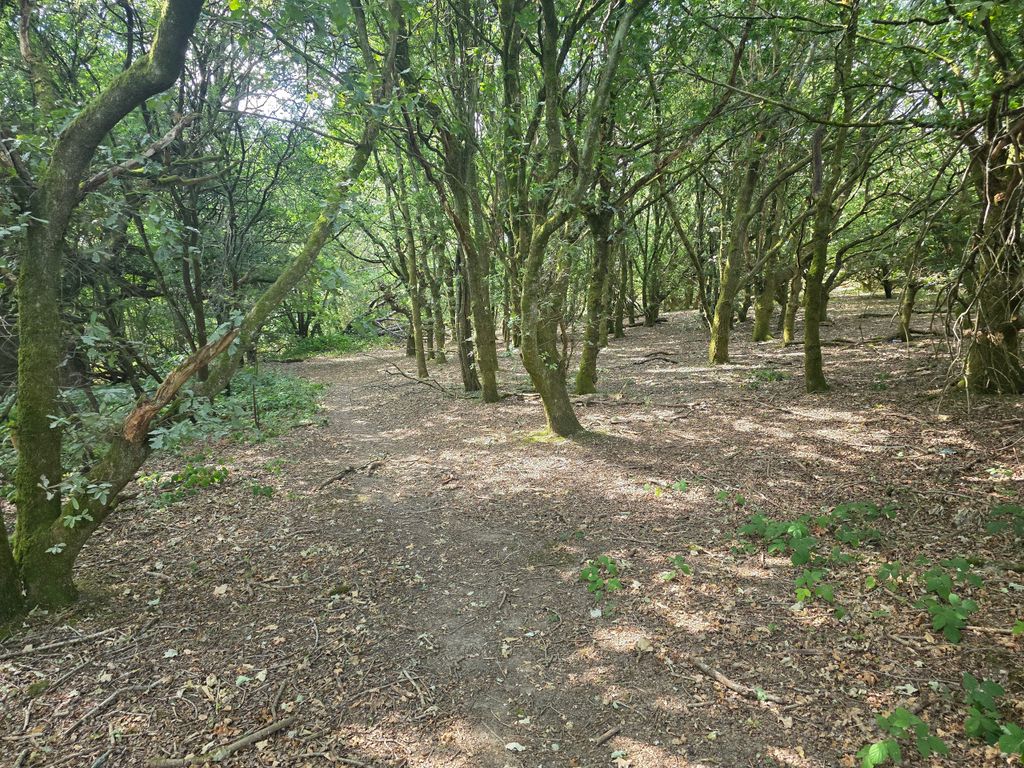 Property photo 2 of 7 20260810_111335