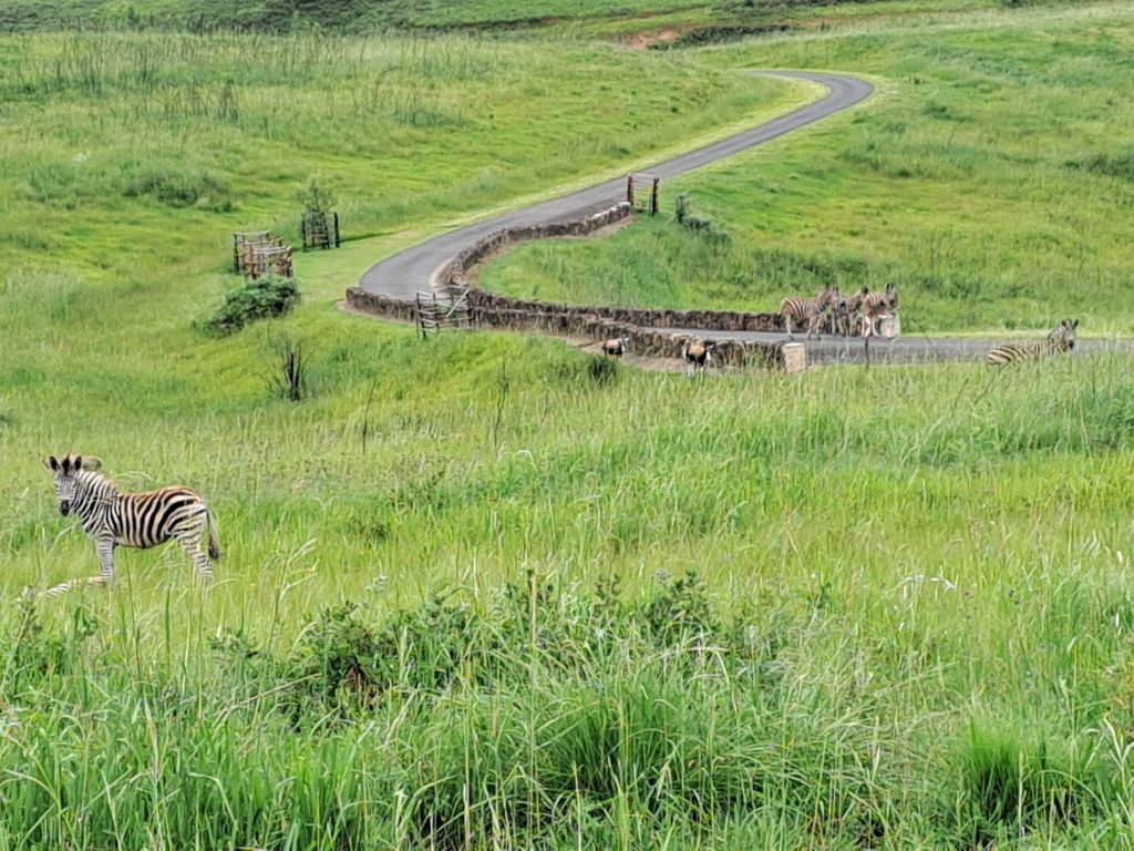 Property photo 2 of 15 1Pm1710991