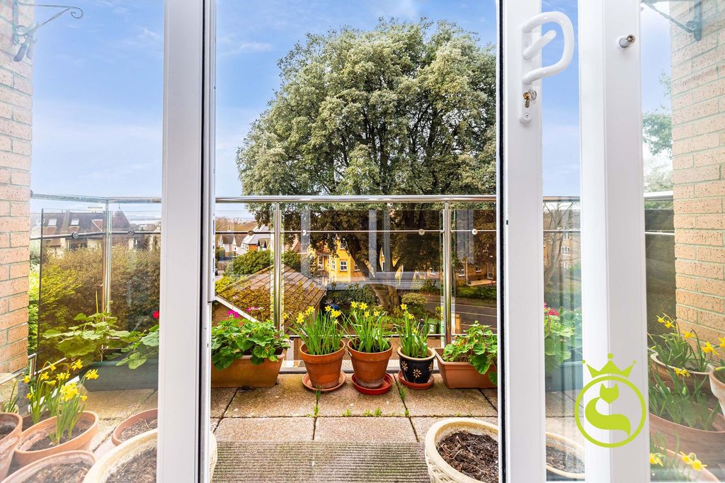 Property photo 3 of 20