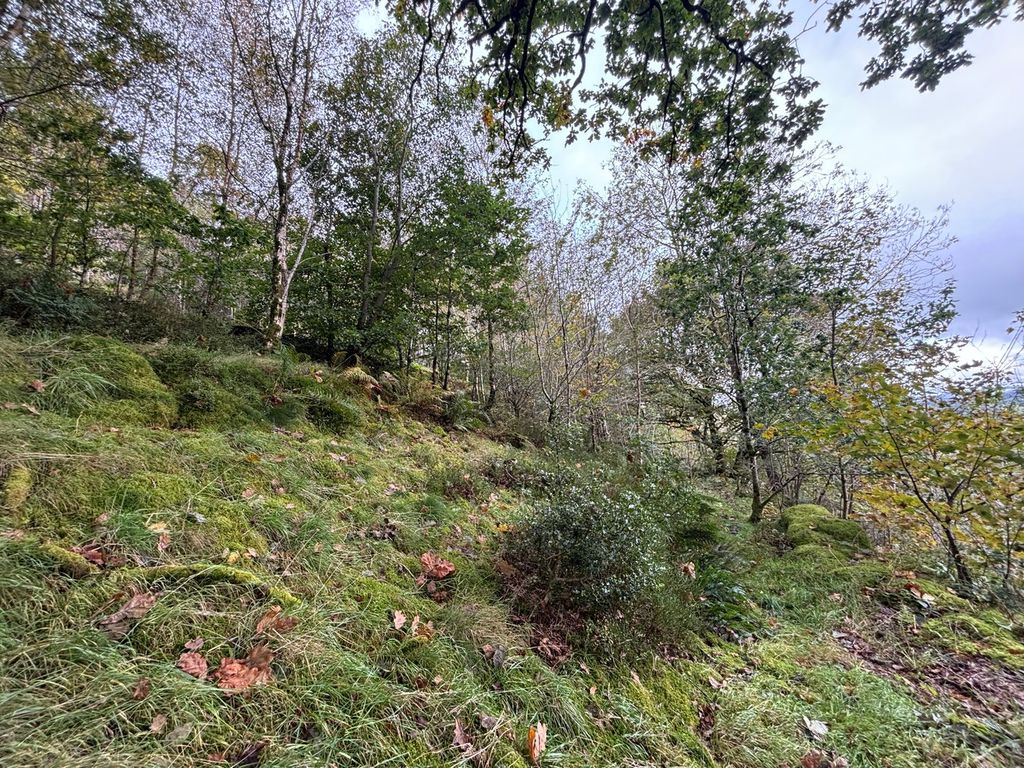 Additional image 25 of 4 bed farm for saleLlanddewi Brefi, Tregaron SY25