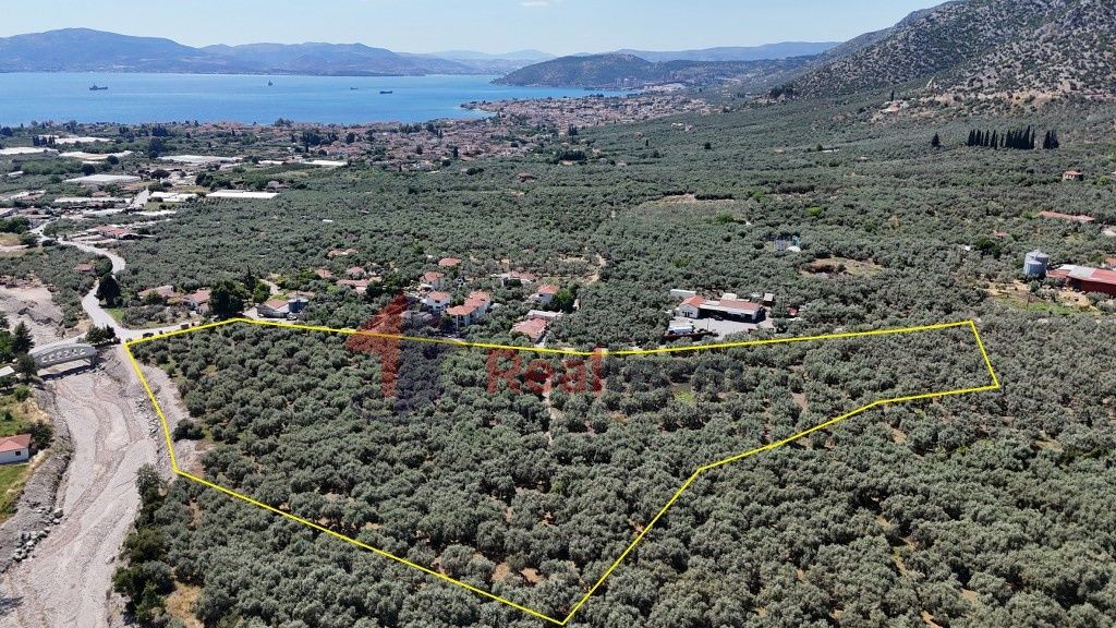 Property photo 3 of 23