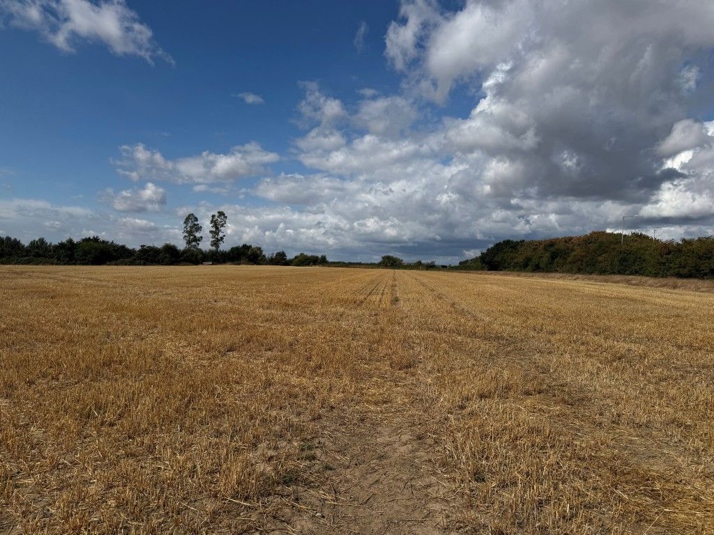 Property photo 2 of 8 View Of The Land 1