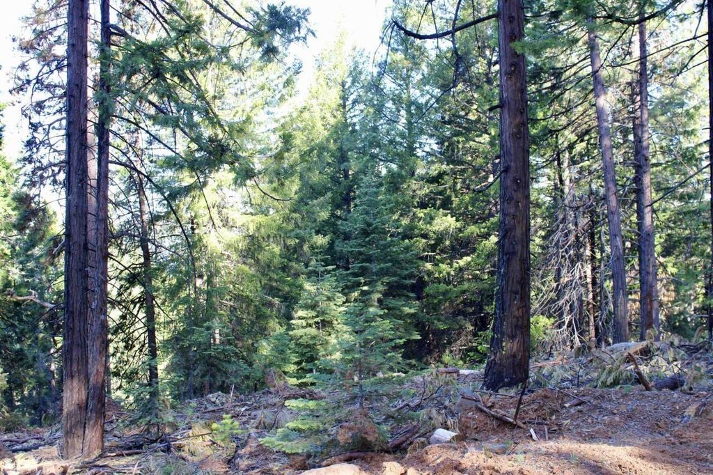 Property photo 2 of 23 <Alttext/>