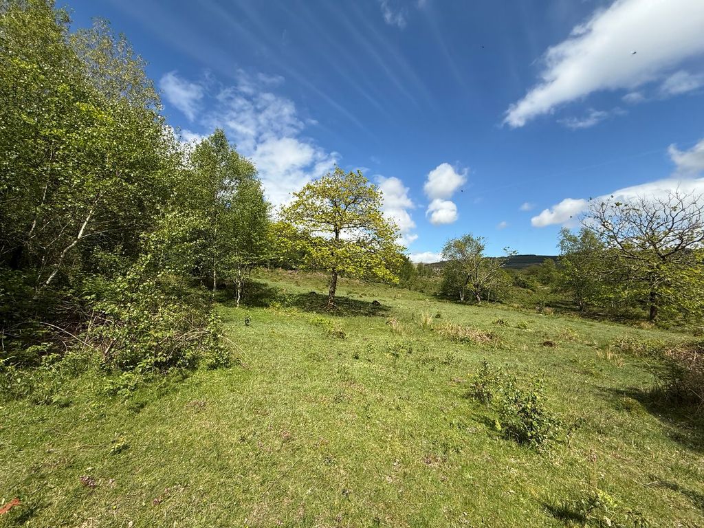 Additional image 8 of Farm for saleYnyswen, Penycae SA9