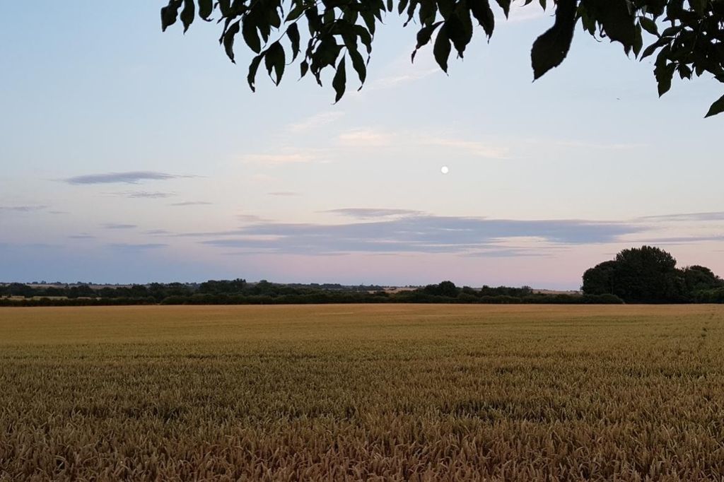 Property photo 2 of 24 Field Views