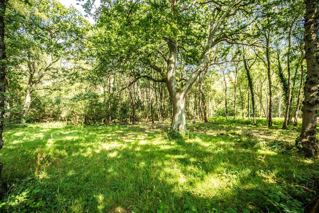 Property photo 3 of 23 Ty Llon-19.Jpg