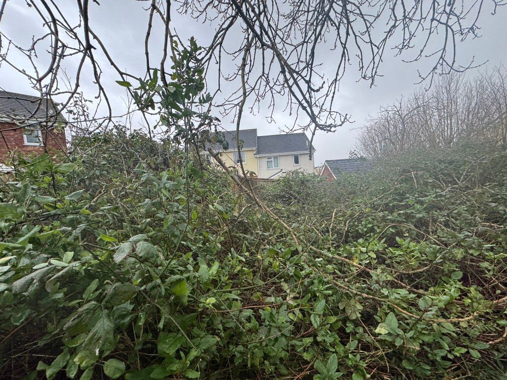 Property photo 1 of 3 View Of Land